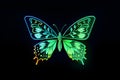 Neon glowing outlined illustration of butterfly Royalty Free Stock Photo