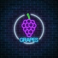 Neon glowing sign of grapes with bunch of grape in circle frame. Bunch of grapes in round border.