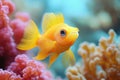 A neon goby fish in a coral reef, vibrant and detailed, underwater setting Royalty Free Stock Photo