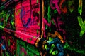 Neon Graffiti