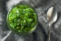 Neon Green Chicago Style Pickled Relish Royalty Free Stock Photo