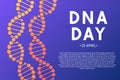 Neon helix of human DNA molecule. DNA day typography poster. Science concept vector illustration. Easy to edit template for banner