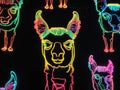 neon hologram of llama - generated by ai Royalty Free Stock Photo