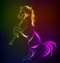 Neon horse against a dark background