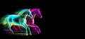 Neon horses runing isolated on black. Generative AI