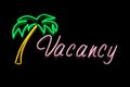 Neon Hotel Vacancy Sigg