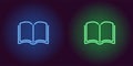 Neon icon of Blue and Green Book