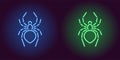 Neon icon of Blue and Green Spider