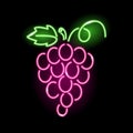 Neon icon of bunch of grapes with leaf isolated on black background. Summer, vine, winery, fresh juice concept for logo Royalty Free Stock Photo