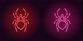 Neon icon of Red and Pink Spider