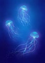 Glowing jellyfish swim in the deep sea. Digital illustration.