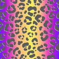 Neon leopard seamless pattern. Bright colored spotted background. Vector rainbow animal print. Royalty Free Stock Photo