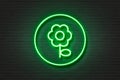 Neon Light Icon Flower Daisy