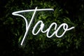 Neon light with Taco letterings against fern leaves