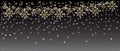 Neon Lights and Golden Garland with Snowflakes on Transparent Gr Royalty Free Stock Photo