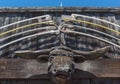 Neon sign, carved bull head, western saloon