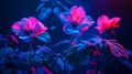Neon-lit flowers glowing under ultraviolet light Royalty Free Stock Photo