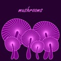 Neon mushrooms, space for text . Fantastic hallucinogenic mushrooms. Vector illustration for poster, postcard, design