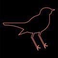 Neon nightingale Luscinia Bird silhouette icon black color vector illustration flat style image red color vector illustration