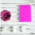 Neon notebook Royalty Free Stock Photo