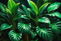 Neon Oasis: Tropical Leaves in Dark Green Hues Illuminated by Colorful Neon Backlighting, Strategically Arranged