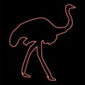 Neon ostrich red color vector illustration image flat style