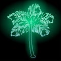 Neon Palm tree. Vector illustration EPS10