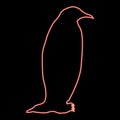 Neon penguin red color vector illustration image flat style