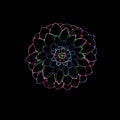 Neon picture of a dahlia flower. The idea for a tattoo Royalty Free Stock Photo