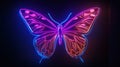 Neon Pink And Blue Butterfly Digital Art Royalty Free Stock Photo