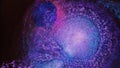 Neon purple dark blue colors ink. Liquid colorful amazing organic background. Explosion in galaxy cluster. Eye of God Royalty Free Stock Photo