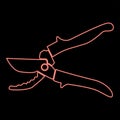 Neon secateur red color vector illustration flat style image Royalty Free Stock Photo
