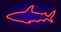 Neon shark sign in red on dark blue background. isolated glow-in-the-dark neon tube in red color in the shape of a carnivorous sea Royalty Free Stock Photo