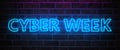 Neon Sign Cyber Week