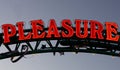 Neon sign pleasure