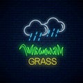 Neon sign of raining clouds and plot of grass. Lawn irrigation concept in neon style. Vector illustration
