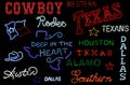 Texas Neon Signs Photo Composite