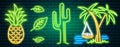 Neon signs and icons. Cactus and pineapple, tropical plants, palm trees and leaves. Set of Night bright signboard Royalty Free Stock Photo