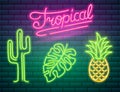 Neon signs and icons. Cactus and pineapple, tropical plants, palm trees and leaves. Set of Night bright signboard Royalty Free Stock Photo