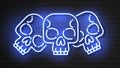 Neon, Skull, Mexican Holiday Day Of The Dead