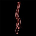 Neon spinal vertebral column spine backbone red color vector illustration image flat style
