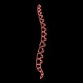 Neon spine human Spinal Lateral view Vertebras Dorsal vertebrae red color vector illustration image flat style