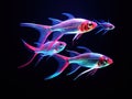 Ai Generated illustration Wildlife Concept of Neon Tetra Paracheirodon innesi freshwater fish isolated Royalty Free Stock Photo