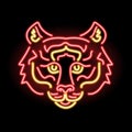 Neon tiger face icon or logo isolated on black background. Chinese new year 2022, zodiac sign, wild, Asia concept Royalty Free Stock Photo