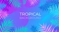 Neon tropical fluid background with jungle plants. Vector exotic banner with tropic palm leaves frame. Poster with copy