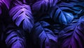 Neon tropical Monstera leaf banner