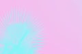 Neon turquoise palm leaves on pink background. Minimal concept. Copy space