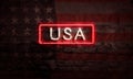 Neon USA America Patriotic Sign Flag USA Concept Art On Brick Wall