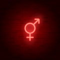 Neon vector male and female sign. Gender symbol on brick wall Royalty Free Stock Photo