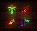 Neon vegetables signs vector isolated on brick wall. Corn, chilli pepper, carrot, beetroot light sym